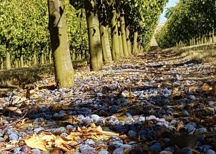 דירה Alte Backstube - & *