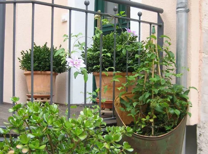 דירה Alte Backstube - & *